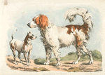 Two hunting dogs.