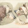 Two dogs' heads and a paw.