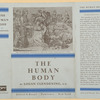 The human body.