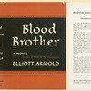 Blood Brother, by Elliott Arnold.