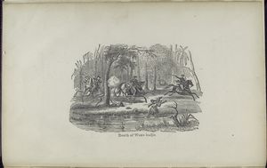 The Florida exiles and the war for slavery