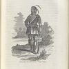 Tholocklo Tustenuggee, (Tiger Tail)