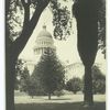 State capitol, Sacramento, California, seen through trees.
