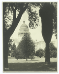 State capitol, Sacramento, California, seen through trees.