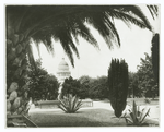 State capitol from Capitol Park, Sacramento, California.