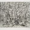 Paysage sous Bois, a l'Hermitage a Pontoise