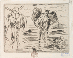 Cheval et mule à la mer.
