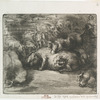 Cochons au soleil.