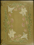 Vita nova