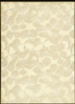 Vita nova