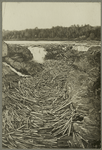 A jam at Grand Falls, on the St. John River.