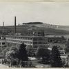 Factory Sukno