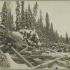 Logs on the bank of a stream, ready for the spring freshet.