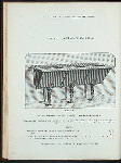 'Yorkshire' brown glazed wash tubs. Plate 564-G.