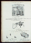 Mott's standard bidets. Plate 1098-G, Plate 390-G, Plate 392-G and Plate 391-G.