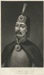 Abdul Aziz, Sultan of Turkey