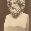 Aesoulap.