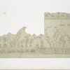 Siege and escalade of a city.  (Kouyunjik.) [Quyunjik].