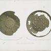 Bronze vessels from Nimroud [Nimrud] (Plate V.)