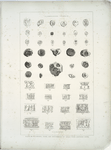 Cylinders, gems, and impressions of seals from Assyrian ruins.