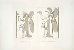 Winged figure ; Nisroch or the eagle headed divinity.