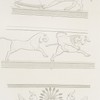 Ornaments [on the robes of a eunuch].