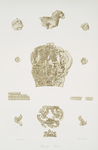 Ivories. [Ivory objects found at Nimroud [Calah]]