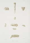 Ivories. [Ivory objects found at Nimroud [Calah]].