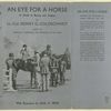 An eye for a horse : a guide to buying and judging.
