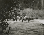 Crossing Deep Creek 60 miles morth [of] Hazelton, Skeena River District.
