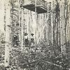 Two men standing beneath a cache.