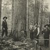 Logging : men with axes and saws.