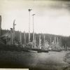 Indian totems at Skidegate, Q.C.I. [Queen Charlotte Islands].