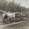 Necessity has no law : primitive transportation in the north-west.