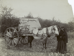 A Red River cart and driver.