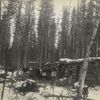 Settlers in front of their log homes, Saskatchewan.]