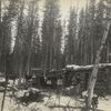 Settlers in front of their log homes, Saskatchewan.