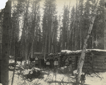 Settlers in front of their log homes, Saskatchewan.