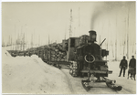 Tractor sled pulling logs.
