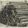 Two lumberjacks with a pile of logs.