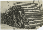 Two lumberjacks with a pile of logs.