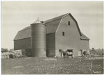 D. W. Vallean's farm, Prince Edward Co. (Ont.).