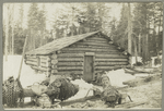 The beaver house, or woods office of a large lumber company.