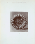 Early Staffordshire Pottery