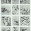 Four pages from a book of drawings of fishes.