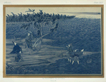 Plaques, L. 2 feet 7-1/2 in., W. 1 foot 10 inches. (James L. Bowes, Esq.)