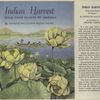 Indian harvest: wild food plants of America.