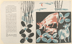 The bountiful cow.