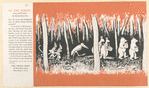 In the forest; story and pictures.