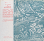 Trees and toadstools.